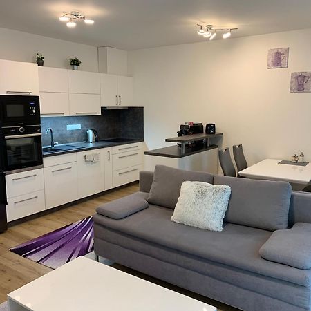 Apartman S Vyhlidkou Horní Maršov Buitenkant foto