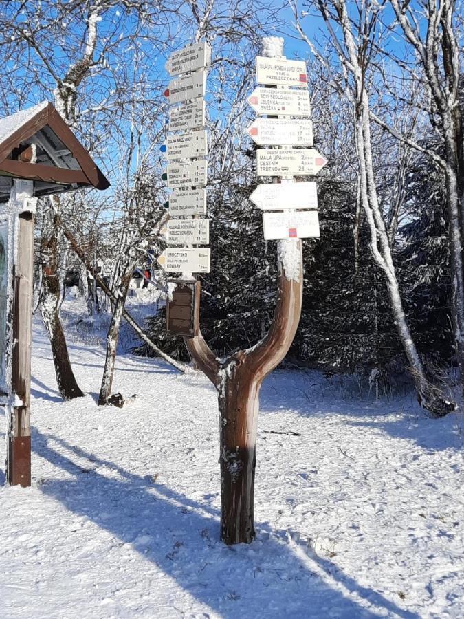 Apartman S Vyhlidkou Horní Maršov Buitenkant foto