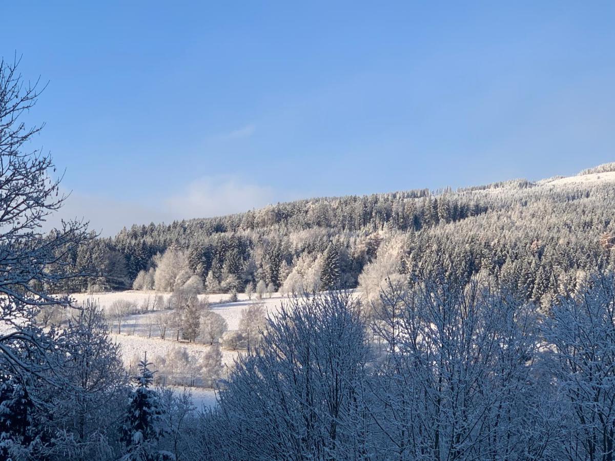 Apartman S Vyhlidkou Horní Maršov Buitenkant foto
